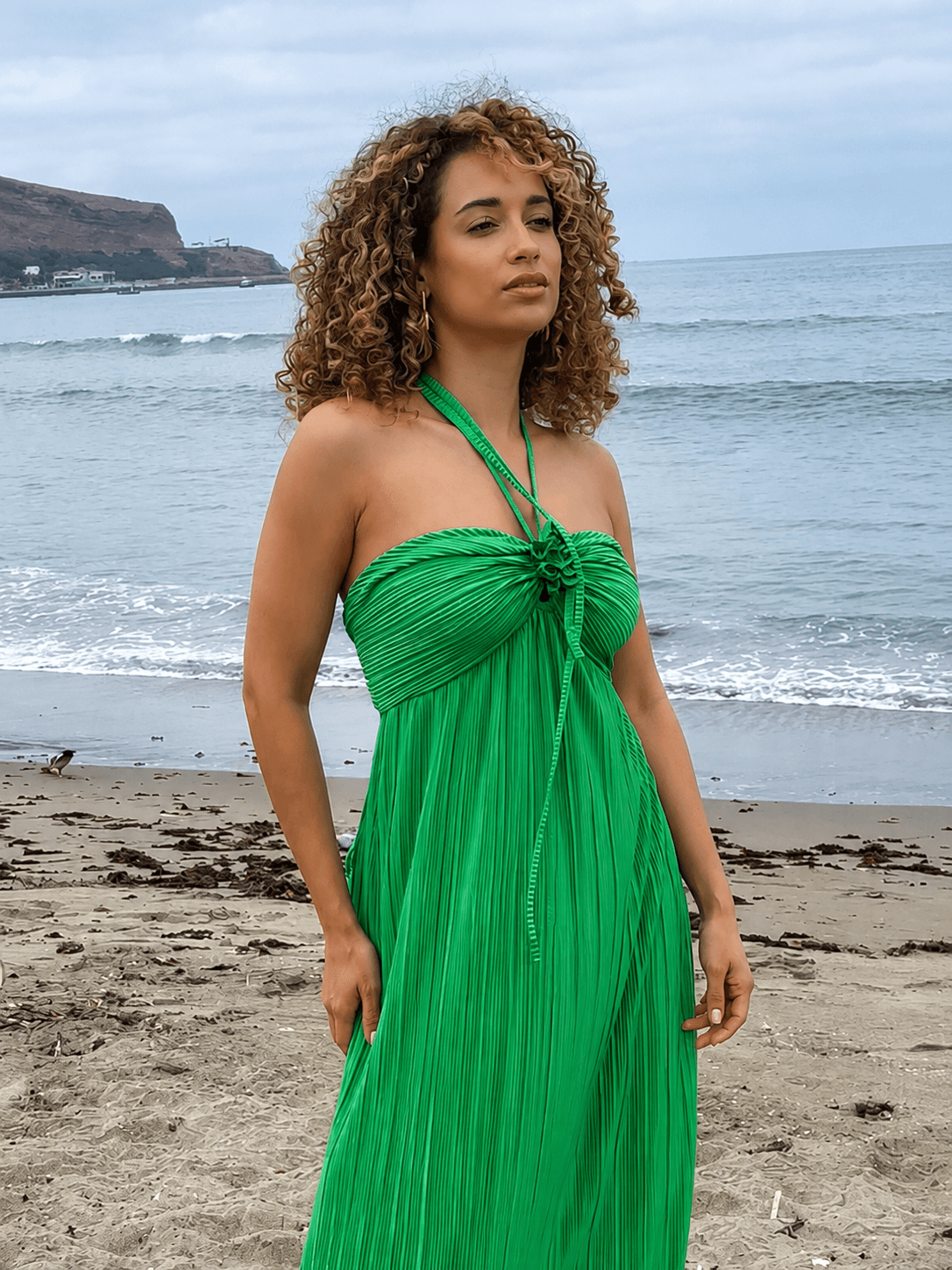 Ariel ivory beach back